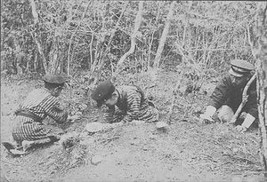 三田市下相野（平野集落）古写真