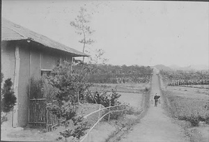 三田市下相野（平野集落）古写真