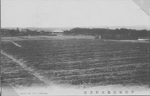 三田市下相野（平野集落）古写真