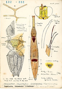 岩田久二雄フィールドノート