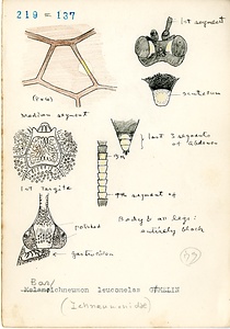 岩田久二雄フィールドノート