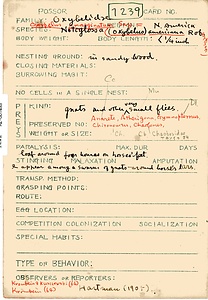 岩田久二雄フィールドノート