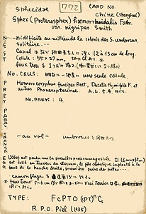 岩田久二雄フィールドノート