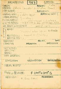 岩田久二雄フィールドノート