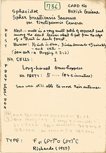 岩田久二雄フィールドノート