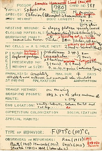 岩田久二雄フィールドノート