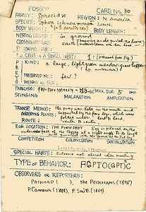 岩田久二雄フィールドノート