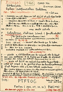 岩田久二雄フィールドノート