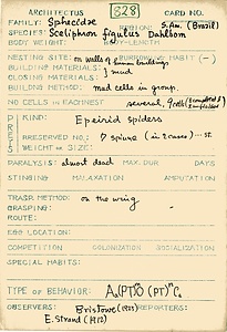 岩田久二雄フィールドノート