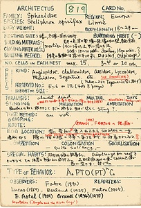 岩田久二雄フィールドノート