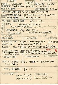 岩田久二雄フィールドノート