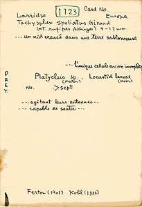 岩田久二雄フィールドノート