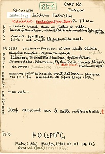 岩田久二雄フィールドノート