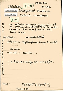 岩田久二雄フィールドノート