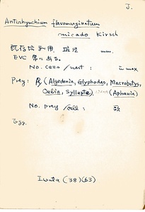 岩田久二雄フィールドノート