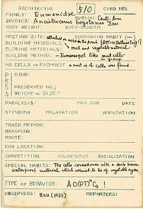 岩田久二雄フィールドノート