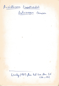 岩田久二雄フィールドノート