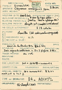 岩田久二雄フィールドノート