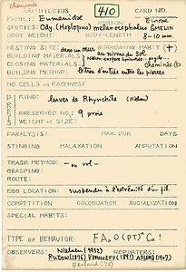 岩田久二雄フィールドノート