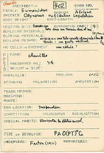 岩田久二雄フィールドノート