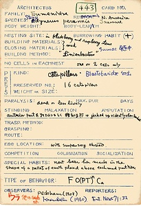 岩田久二雄フィールドノート