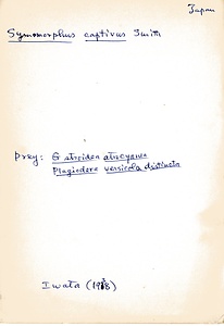 岩田久二雄フィールドノート