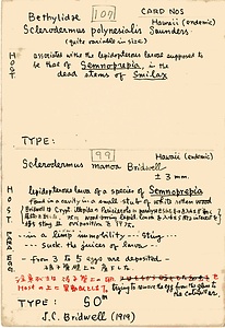 岩田久二雄フィールドノート