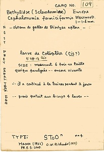 岩田久二雄フィールドノート