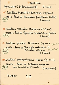 岩田久二雄フィールドノート