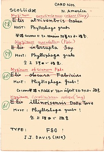 岩田久二雄フィールドノート