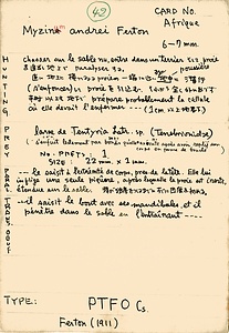 岩田久二雄フィールドノート