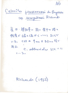 岩田久二雄フィールドノート