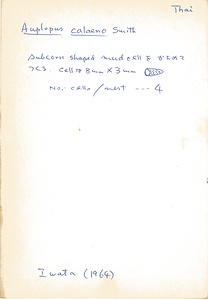 岩田久二雄フィールドノート