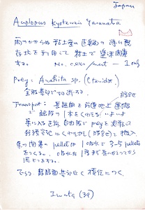 岩田久二雄フィールドノート