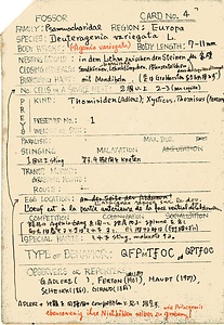 岩田久二雄フィールドノート