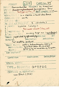 岩田久二雄フィールドノート