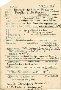 岩田久二雄フィールドノート