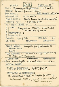 岩田久二雄フィールドノート