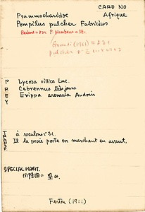 岩田久二雄フィールドノート