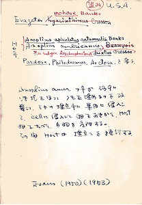 岩田久二雄フィールドノート