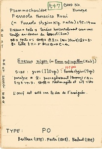 岩田久二雄フィールドノート