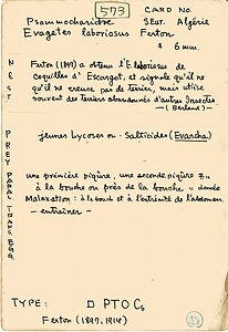 岩田久二雄フィールドノート