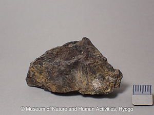 頑火輝石　エンスタタイト