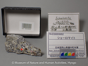 ショーロマイト