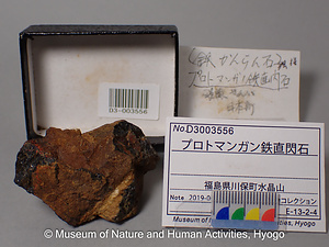 プロトマンガン鉄直閃石