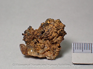 灰鉄輝石・石英（水晶）