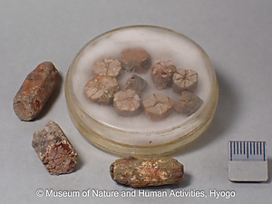 菫青石の仮晶（桜石）