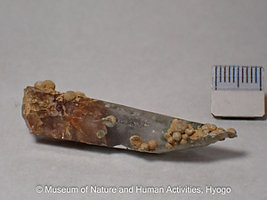 石英（緑泥石入り水晶）