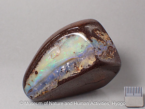 蛋白石（オパール）