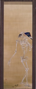 観花